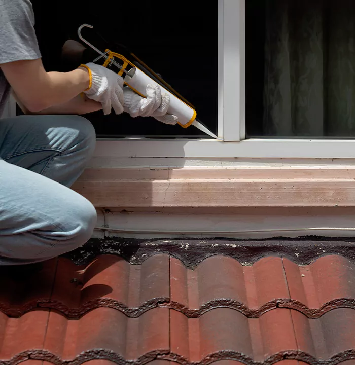 Roof Window Services in Lauderhill, Florida