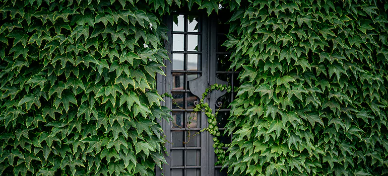 Garden Gate Repair in Lauderhill, FL