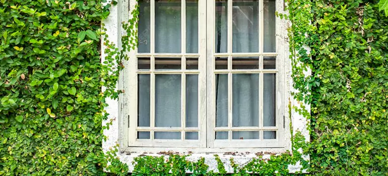 Garden Window Repair Near Me in Lauderhill, FL