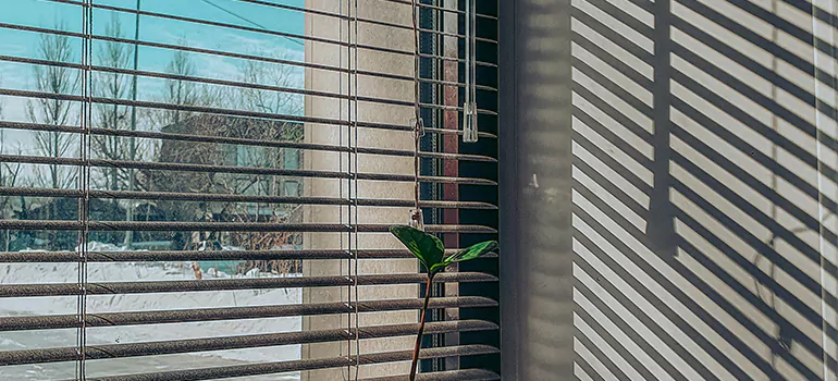 Commercial Window Blinds in Lauderhill, FL