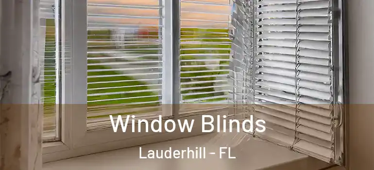  Window Blinds Lauderhill - FL