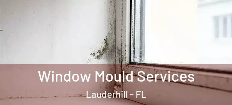  Window Mould Services Lauderhill - FL